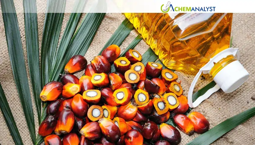 Palm Kernel Oil Prices Rally in July 2026 Amid US Restocking Demand
